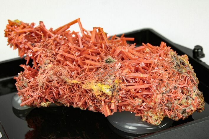 Bright Orange Crocoite Crystal Cluster - Tasmania #206940